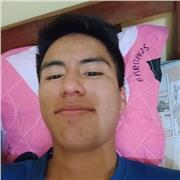 apoyo escolar en todas las materias primaria y secundaria